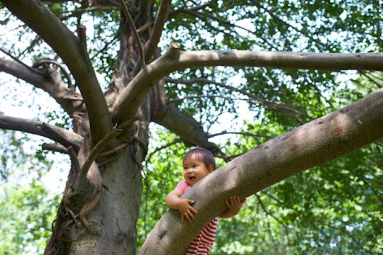 Gemini baby climbing on a tree