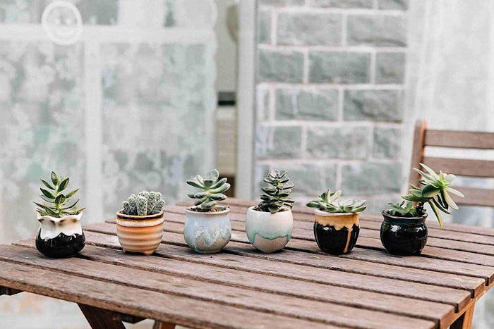 T4U Mini Ceramic Succulent Pots (Set of 6)