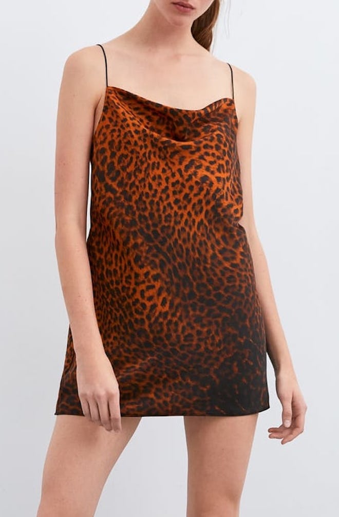 Animal Print Short Dress