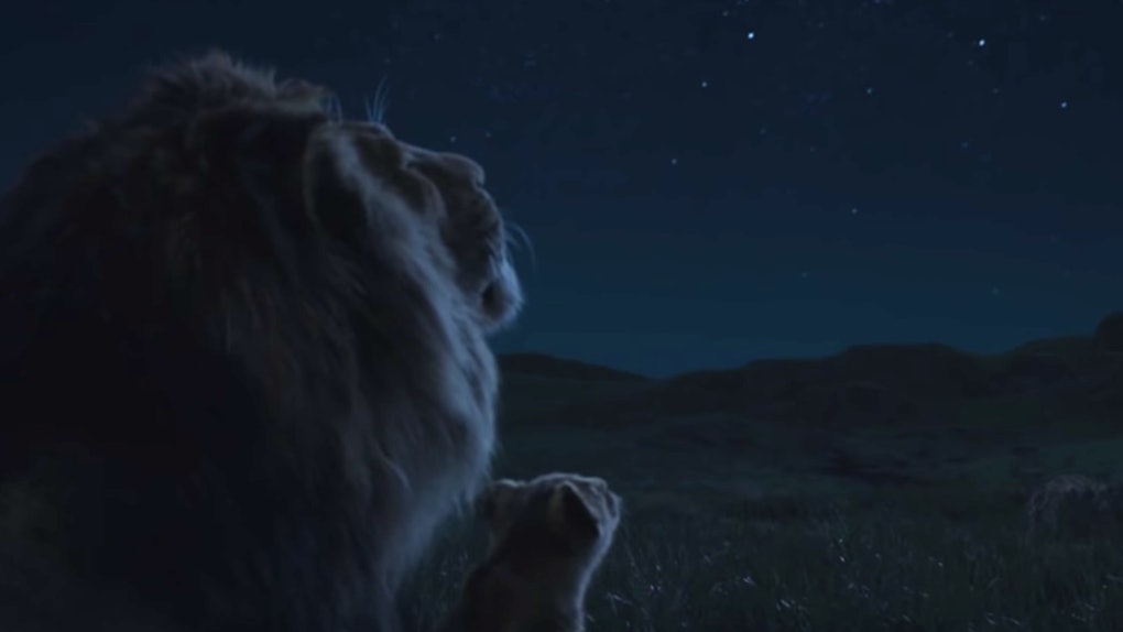 The Lion King Quotes Tumblr