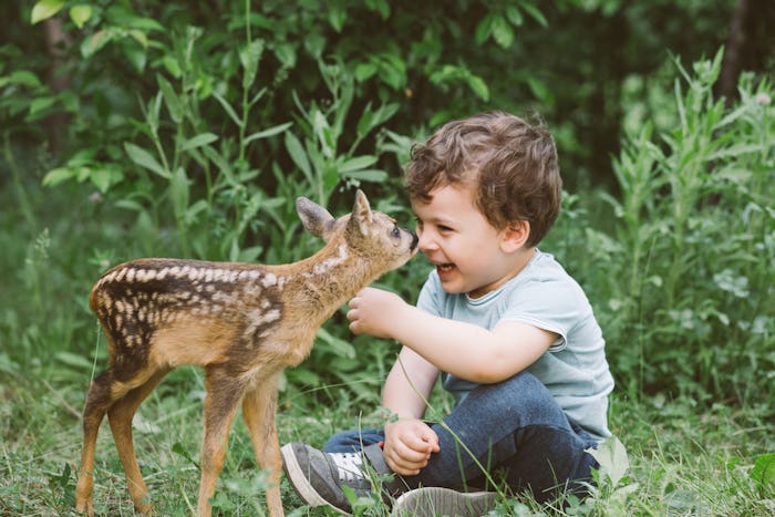 Toddler sitting on the ground touching a baby deer