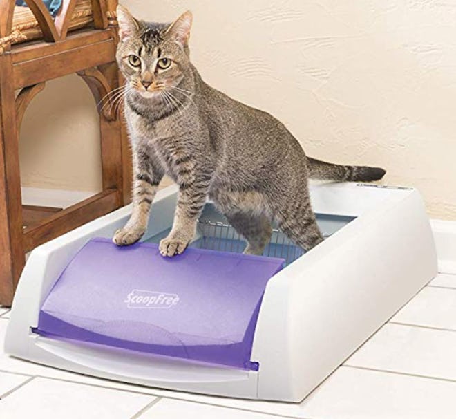 PetSafe Scoop-Free Original Self-Cleaning Cat Litter Box