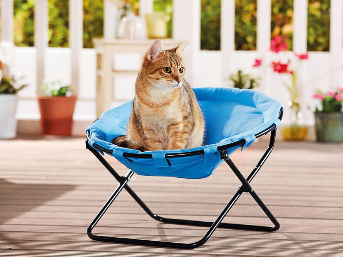 Lidl Is Selling Cat Chairs For £12.99 