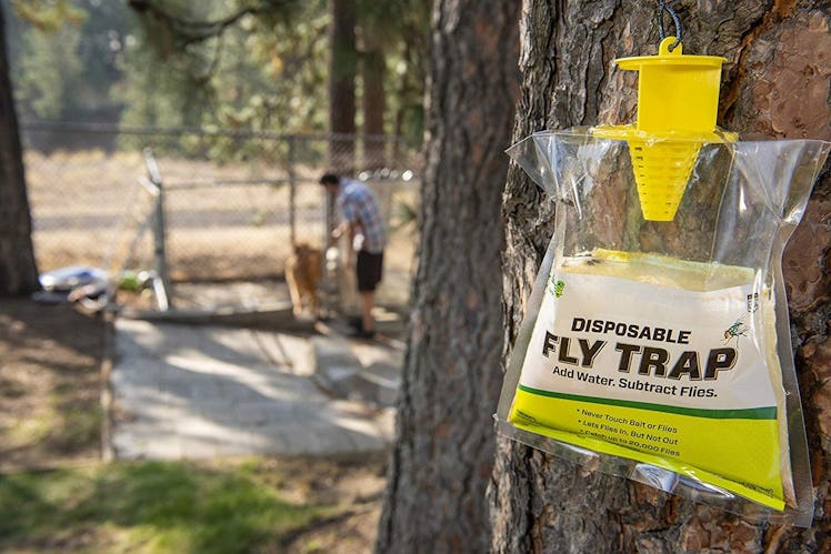 RESCUE Disposable Fly Trap