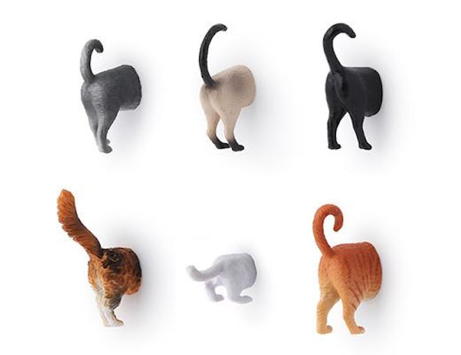 Cat Butt Magnets