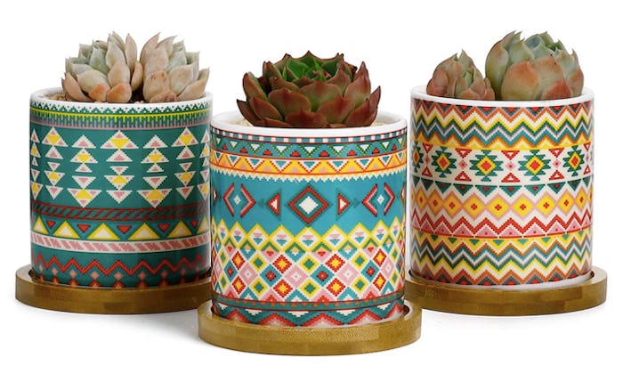 Greenaholics Succulent Plant Pots (Set of 3)