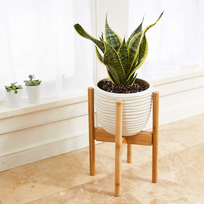 Vigor & Innovation Wooden Plant Stand