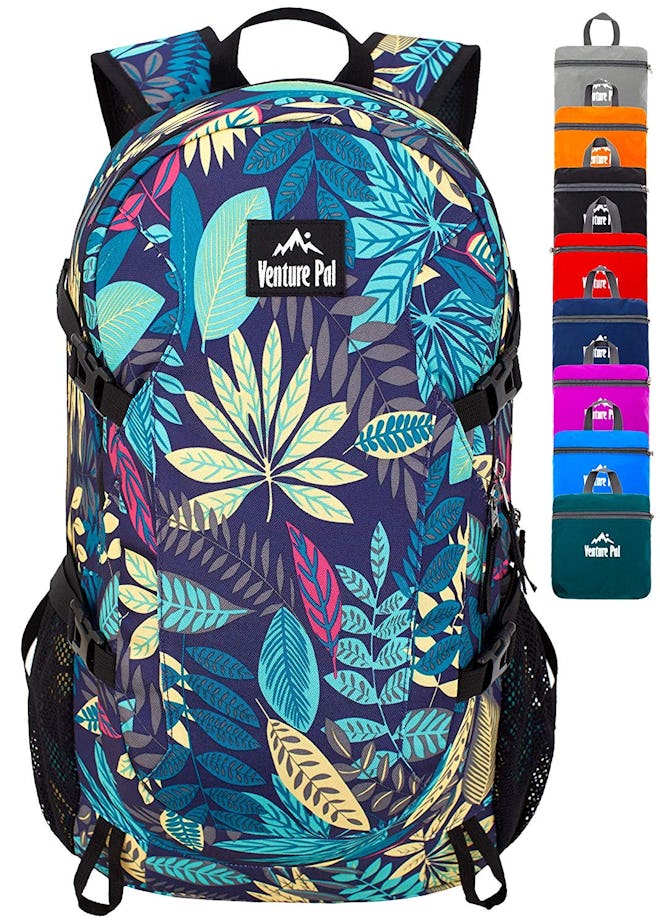 Venture Pal 40L Lightweight Packable Backpack 