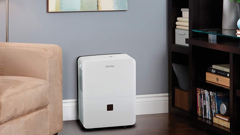 The 4 Best Cheap Dehumidifiers