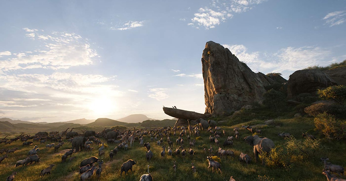 30+ The Circle Of Life Images Gif