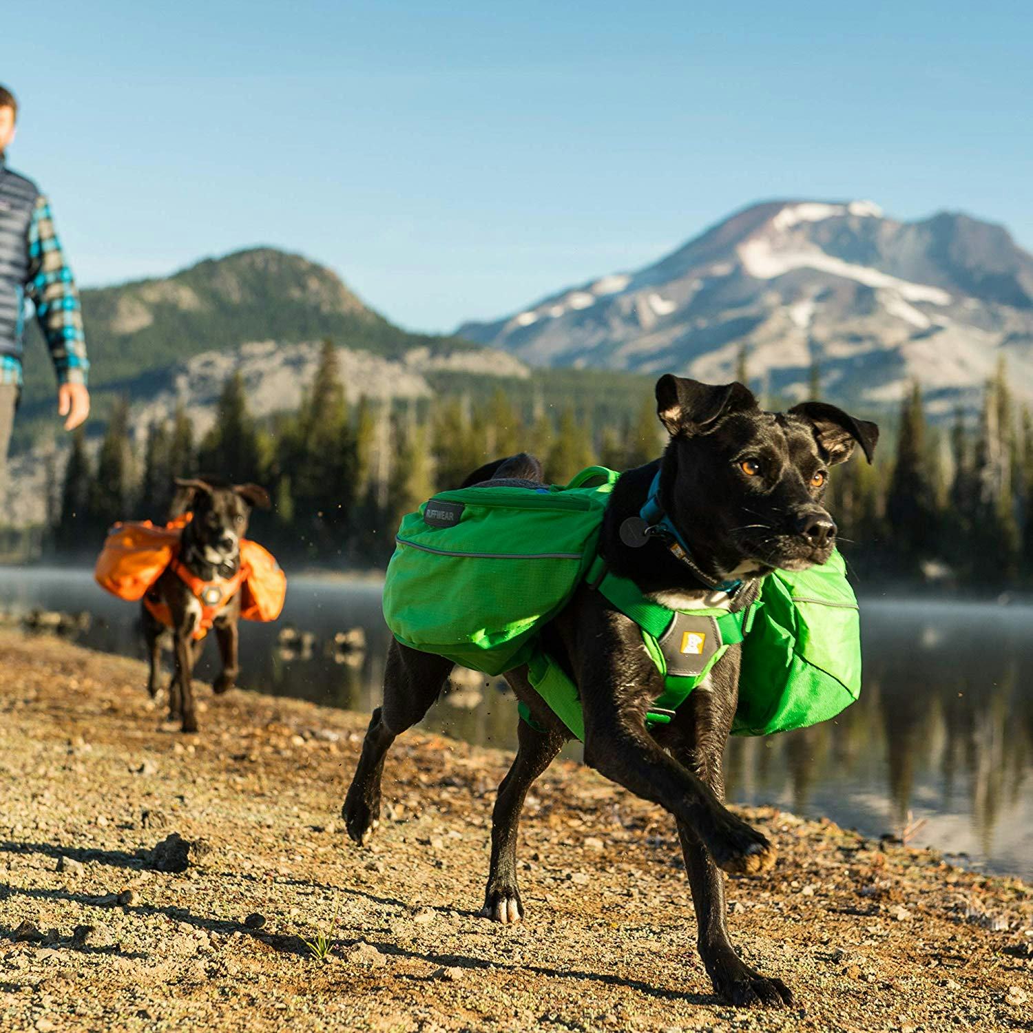 These Dog Backpacks For Hiking Are Designed For Comfort & Safety