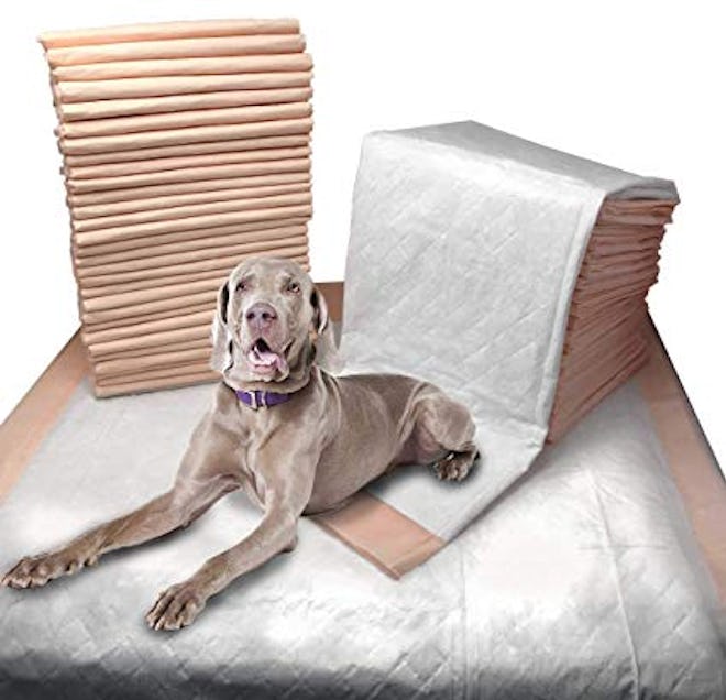 Mednet Direct Ultra Absorbent Pet Training and Puppy Pads for Dogs and Pets