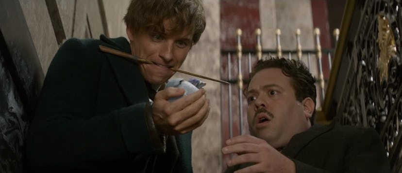 Magical movies: 'Fantastic Beasts and Where to Find Them'