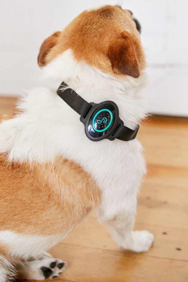 Pet Acoustics Ultra Calmer Collar