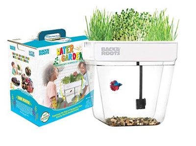 Back to the Roots Water Garden Betta Fish Aquaponic Ecosystem Science Kit for Kids