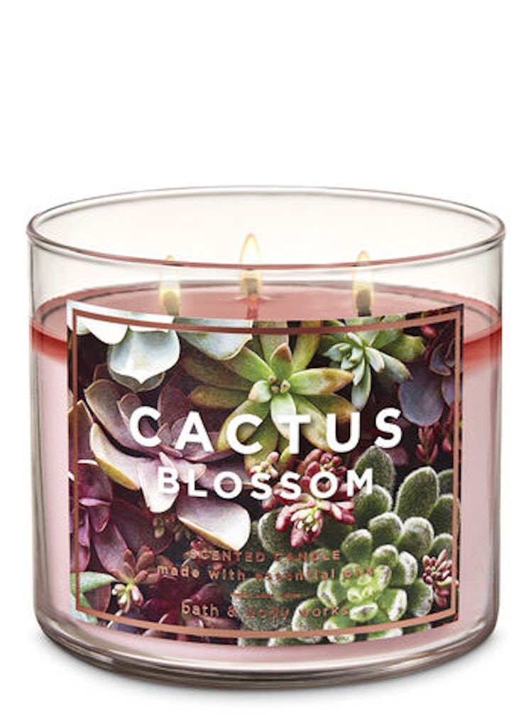 CACTUS BLOSSOM 3-Wick Candle