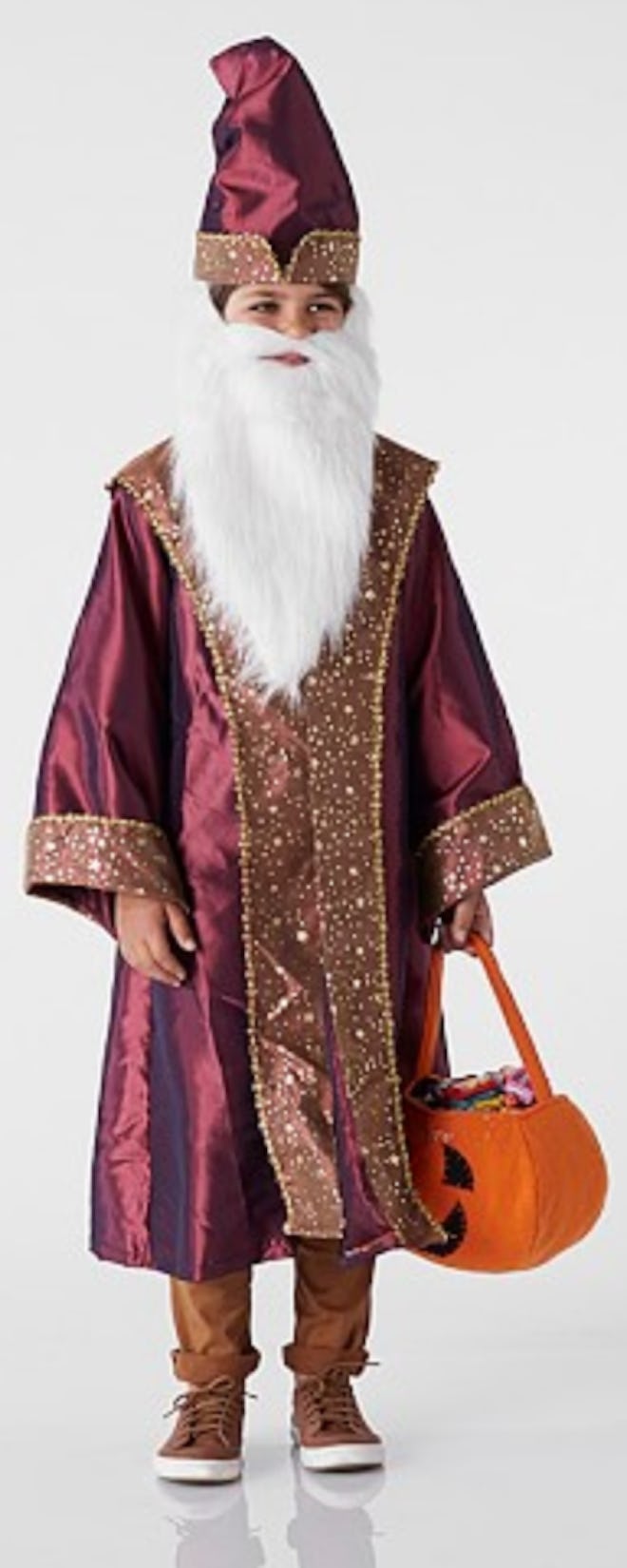 HARRY POTTER™ Dumbledore™ Costume