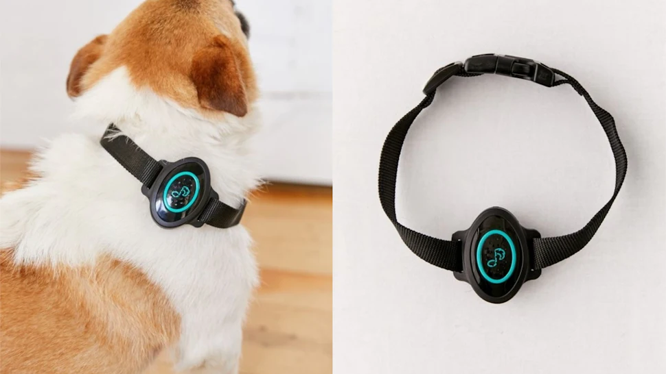 Illustration of Smart Pet Collars With Calming Features