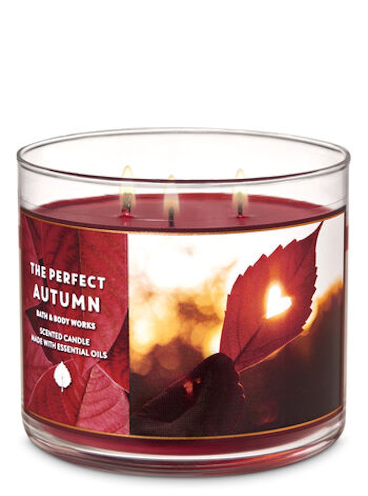 The Perfect Autumn 3-Wick Candle