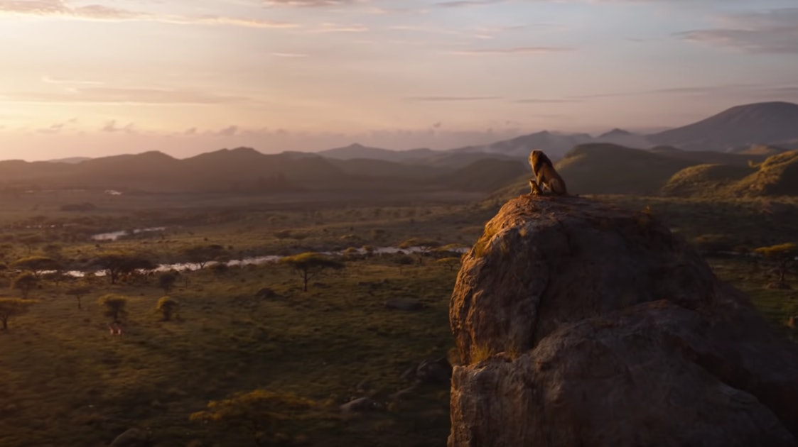 Are The Pride Lands A Real Place? ‘The Lion King’ Was Visually Inspired ...