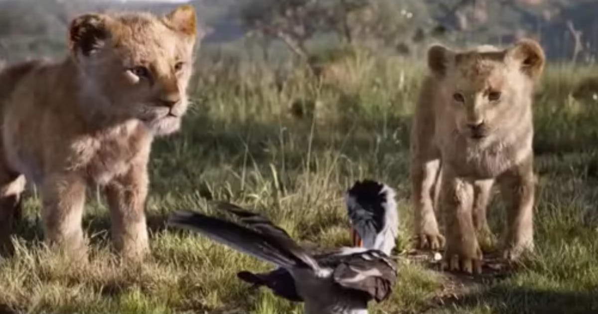 Who Voices Young Nala In The Lion King Shahadi Wright Joseph Has An Impressive Resume Who Voices Young Nala In The Lion King Shahadi Wright Joseph Has An Impressive Resume