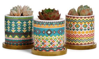 Greenaholics Succulent Plant Pots (Set of 3)