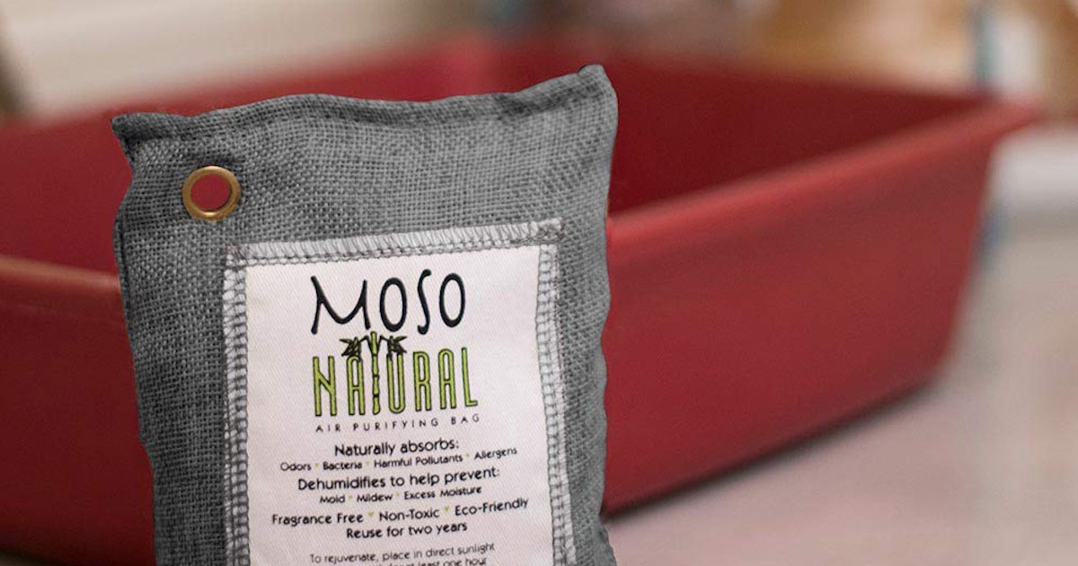 The 5 Best Air  Fresheners  For Pet Odors The 5 Best Air  Fresheners  For Pet Odors