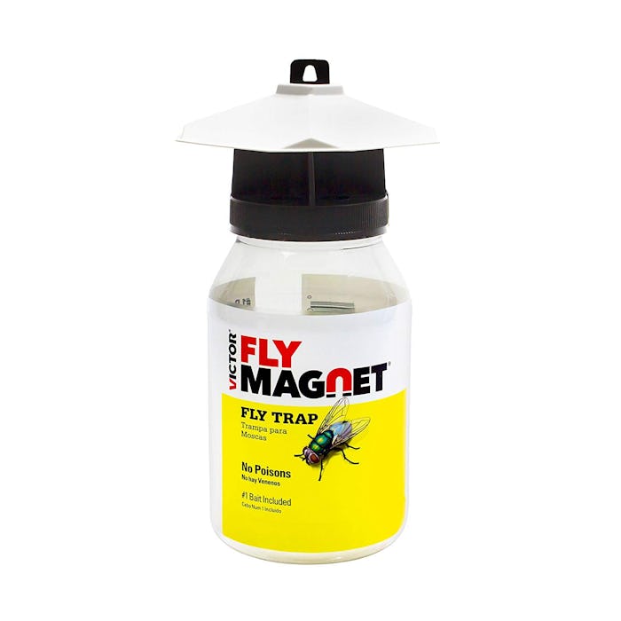 Safer Brand Fly Magnet