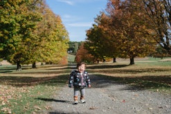 A toddler walking on a promenade in the nature