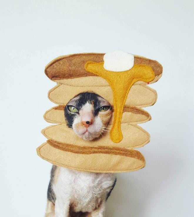 Pancake Pet Costume