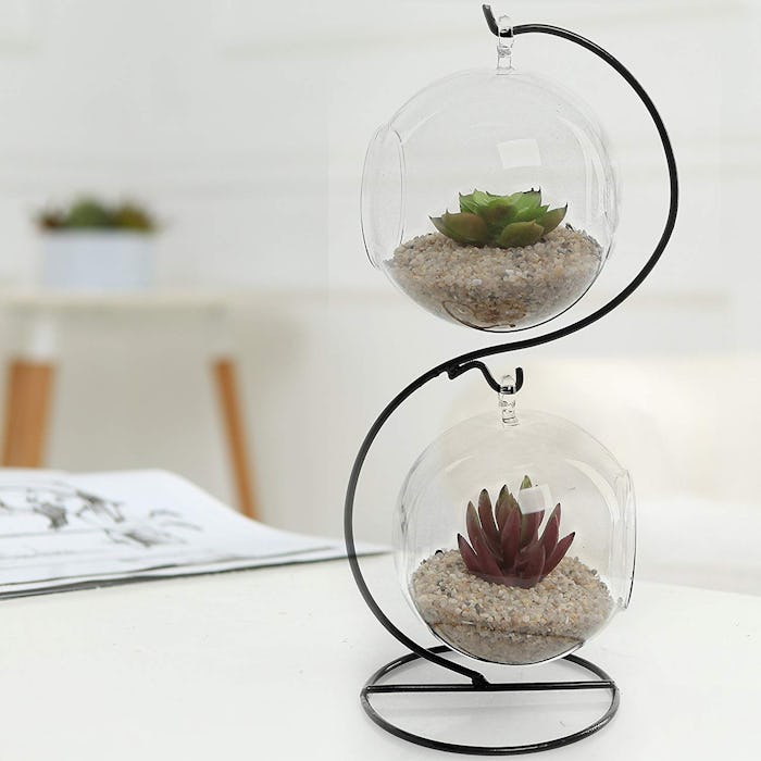 MyGift Terrarium