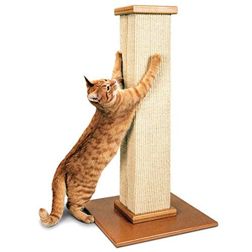 The 5 Best Cat Scratching Posts To File Nails In 2022