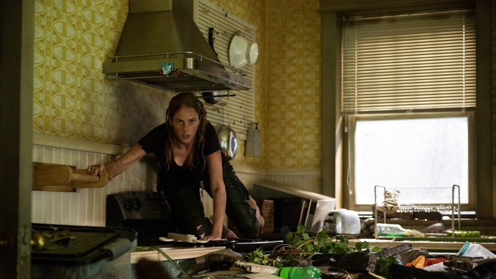 Crawl Isn T Based On A True Story But Loose Alligators