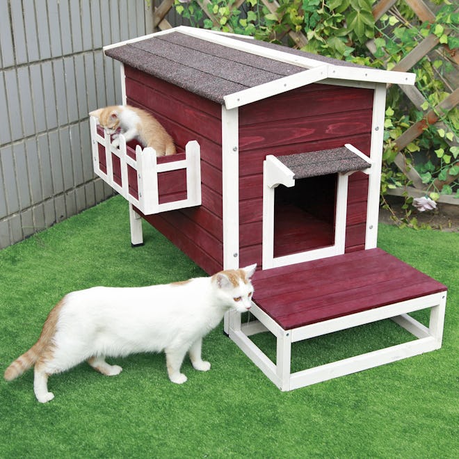 Petsfit Weatherproof Outdoor Cat Shelter/House/Condo with Stair 