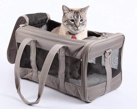 Animal carriers for planes Clearance