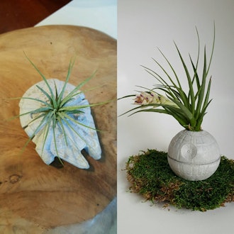 Star Wars Death Star And Millennium Falcon Concrete Planters With Air Plants