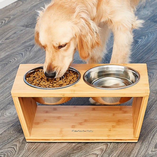 Pawfect Pets Premium Elevated Dog & Cat Diner