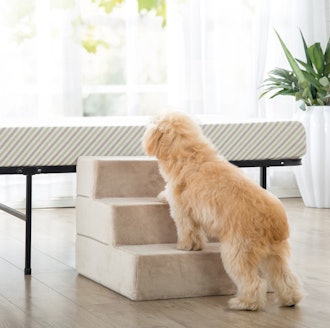  Zinus 3-Step Comfort Pet Stairs