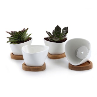 Ceramic Succulent Pot (4 Pack)