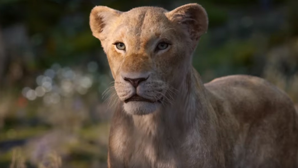 Where To Stream The Lion King Soundtrack To Relive Your