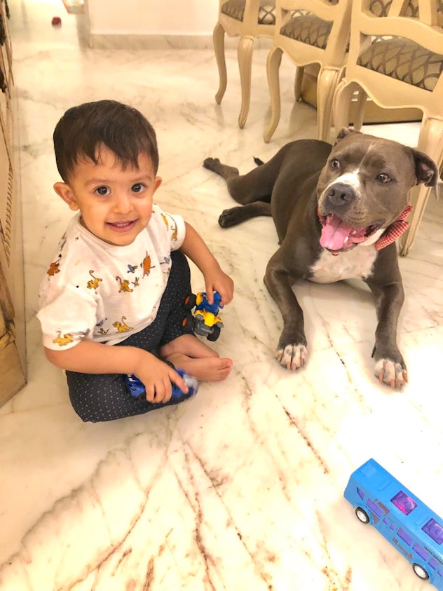 toddler and dog