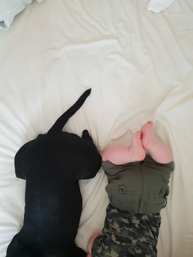 puppy feet and baby feet