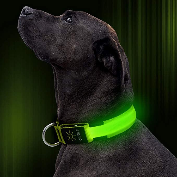 Illumifun LED Dog Collar