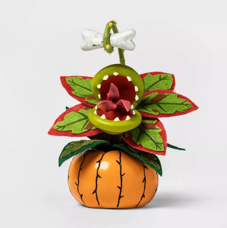 Creepy Succulent in Pumpkin Orange Halloween Décor