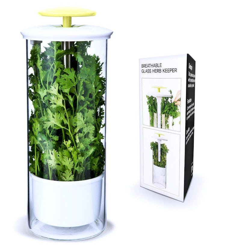 NOVART Premium Herb Keeper