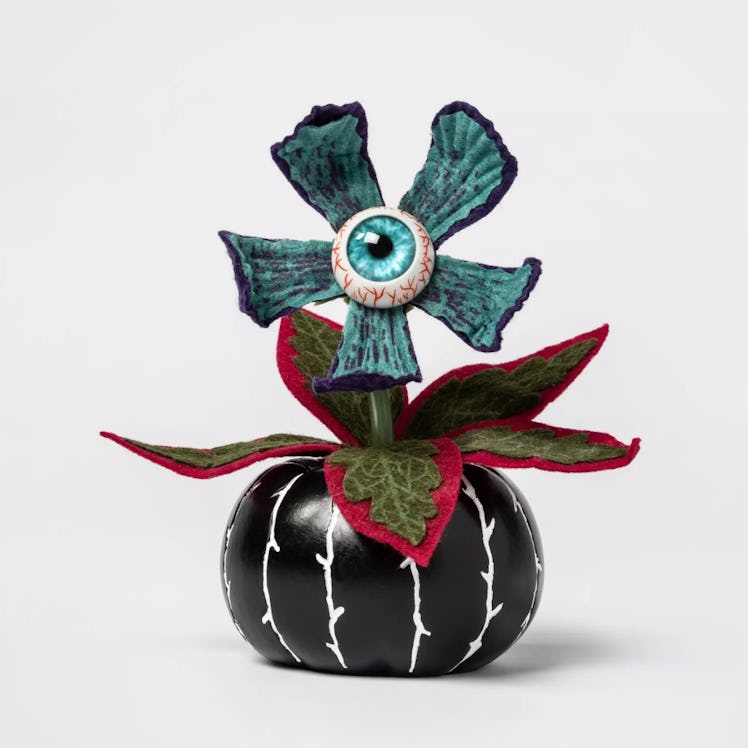 Creepy Succulent in Black Pumpkin Halloween Décor