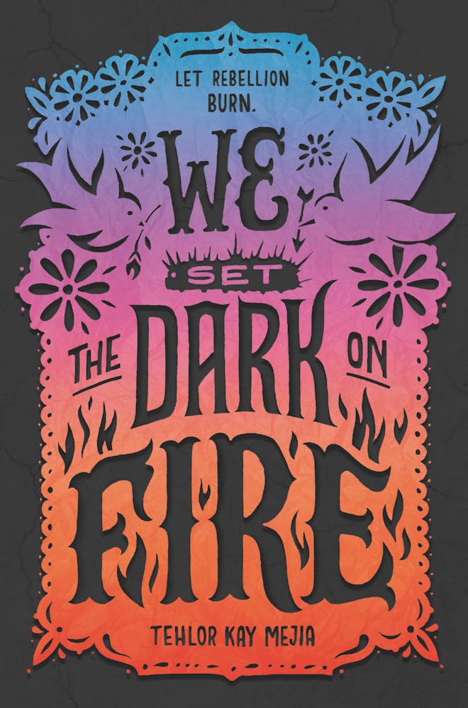 ‘We Set the Dark on Fire’ by Tehlor Kay Mejia
