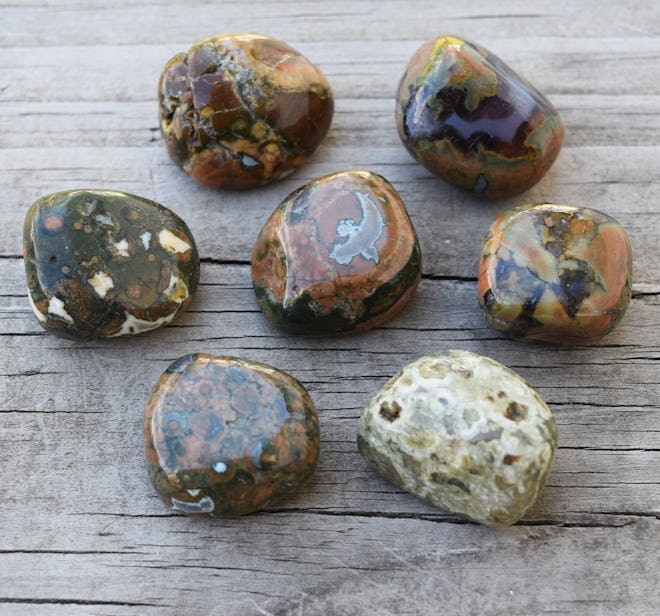 Rainforest Jasper