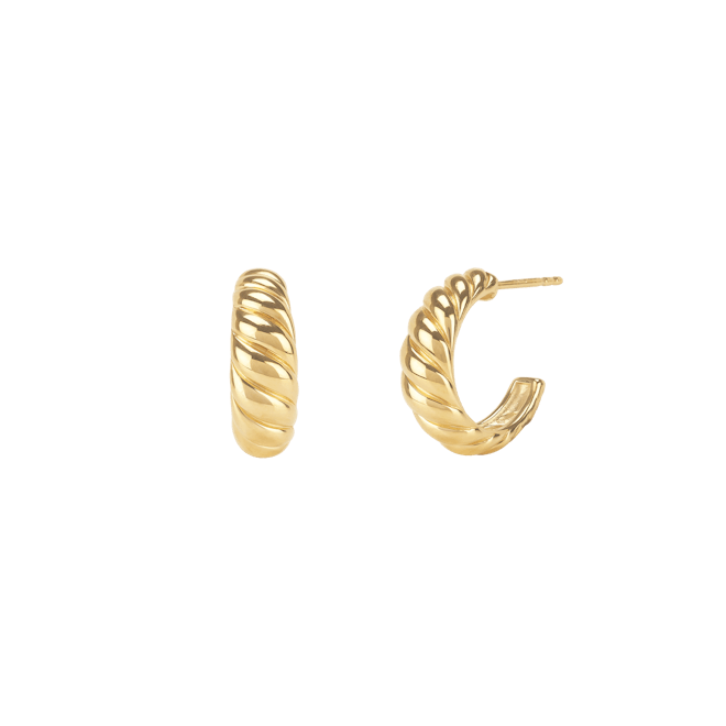 Croissant Dôme Earrings