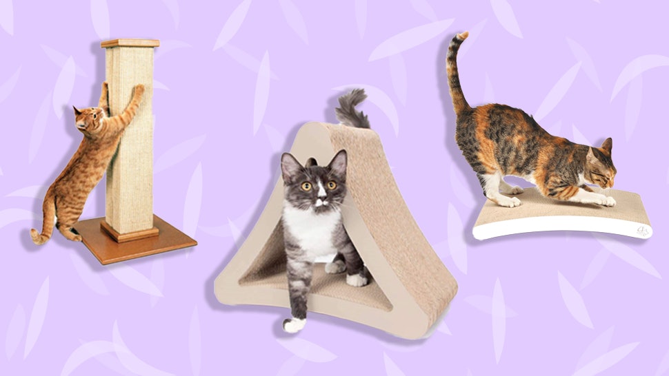 The 3 Best Cat Scratching Posts To File Nails